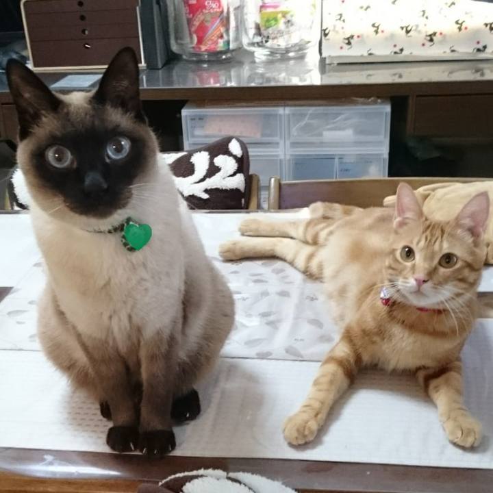 00bf3a39 d775 4fff a279 16179608c69c