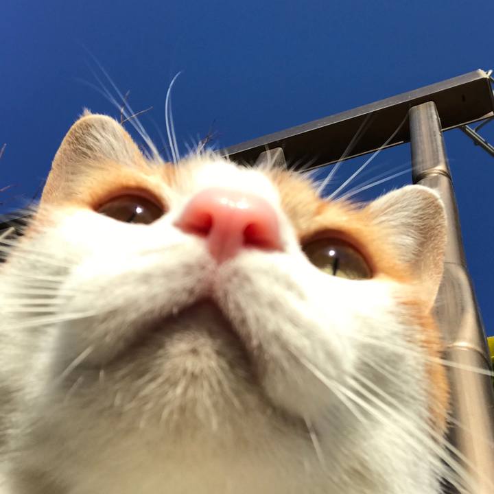 00c00fef b94d 4b31 a033 b979c346cb06