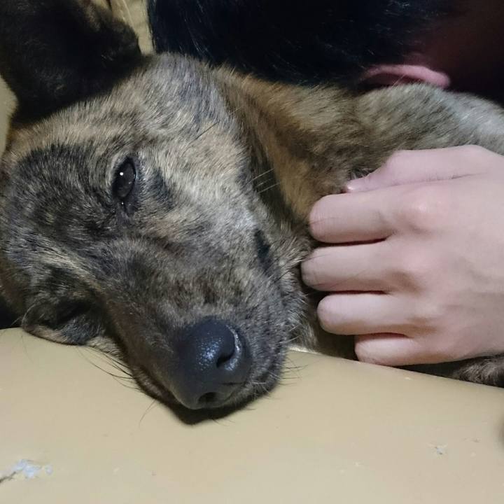 00c061ca 613d 48eb bb62 f5c780a0f9dc