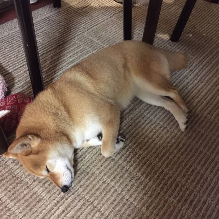 00c0f89e e6cb 4aa4 8211 0d6a4f712874