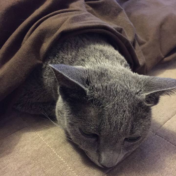 00c14889 e24b 4623 b7e3 c00062dbc51a