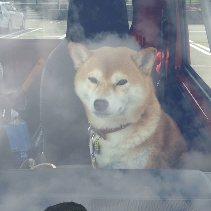 00c25e49 111c 4a9a 88dd 523de83d871a