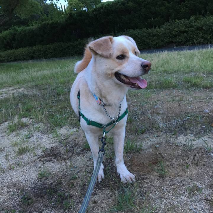 00c2b179 8f62 4b6b 8f9a 9ccf342460b4