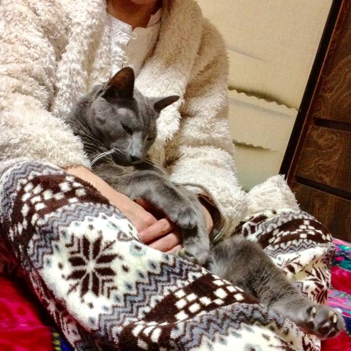 00c3a79f e6f2 48b5 90c5 238cd772ebc0