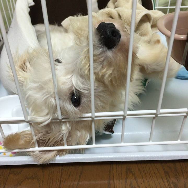 00c3b194 16b2 4c35 90a6 e1e13f35d6fc