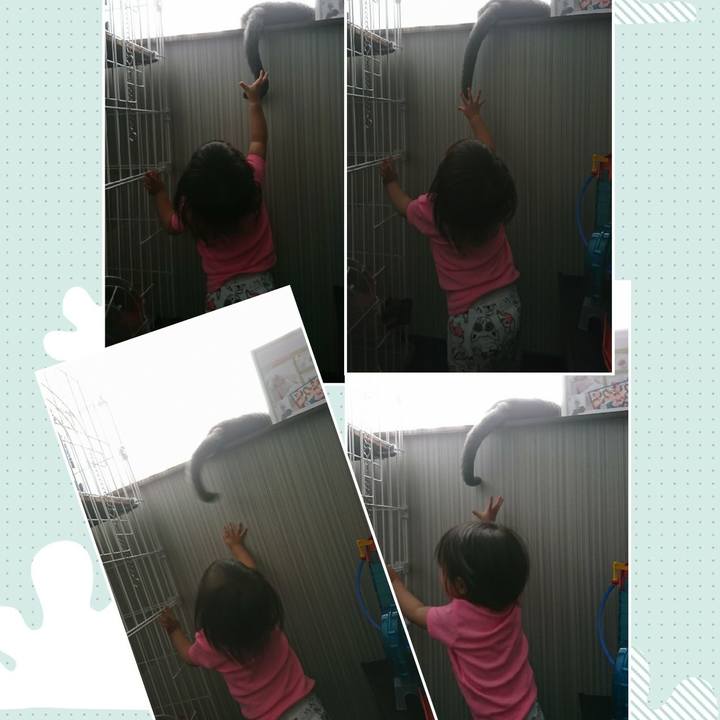 00c43cfa 4195 423c 9cb9 9e54ad7e6b7f