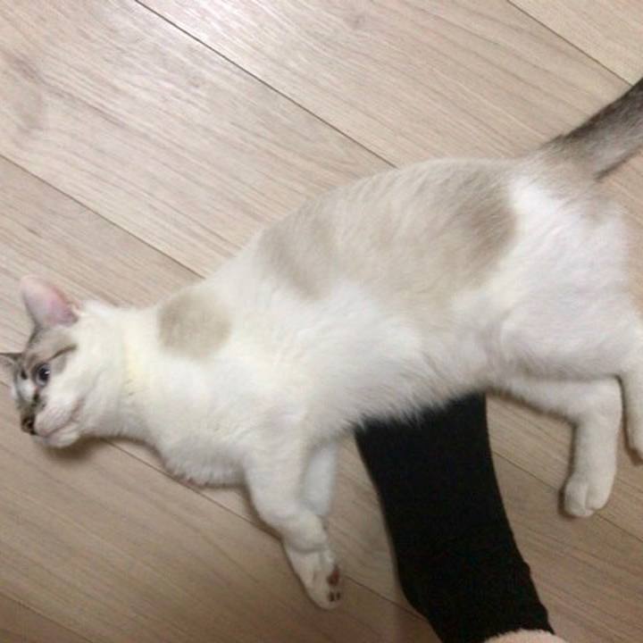 00c46526 fe5b 4944 b07a 6e8a95582921