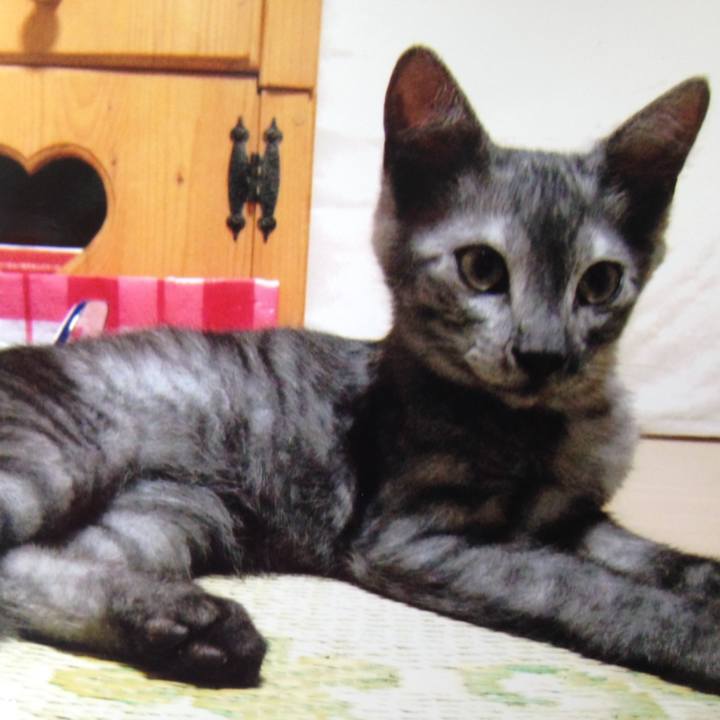 00c6029f ea1c 4d48 92a0 09e495cc9146