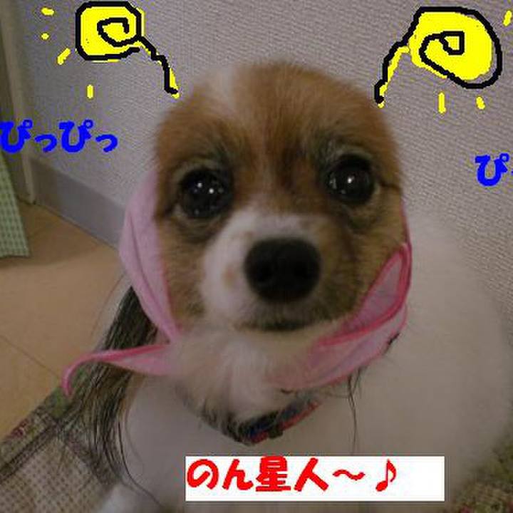 00c6548d 9c9c 4053 a36d b0567b199e07