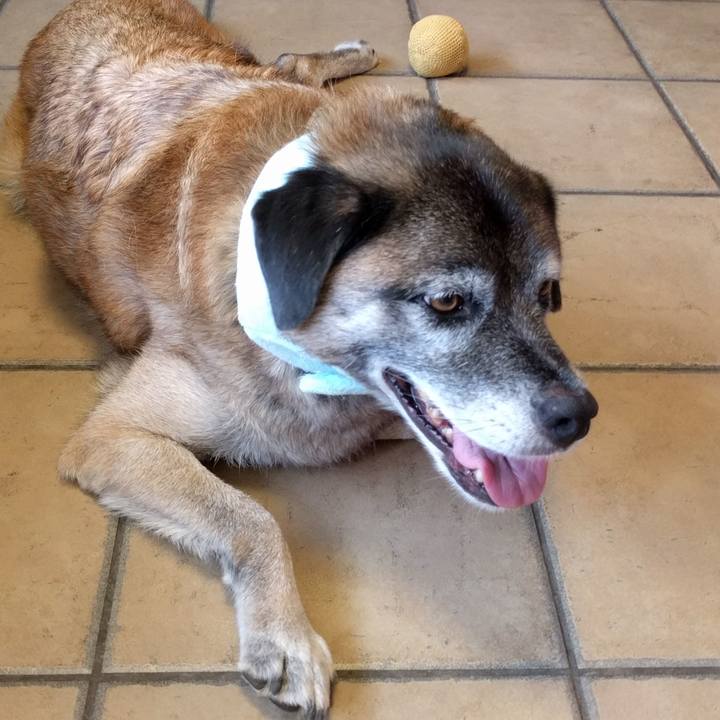 00c7087a 5c08 4833 b950 5901af903f86