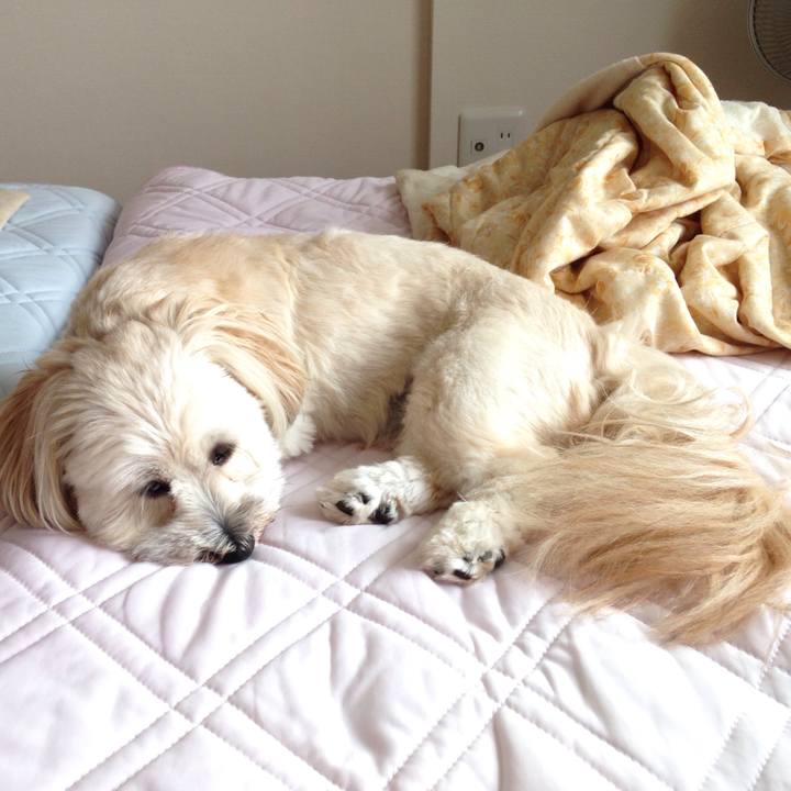 00c715d4 f1bd 4bee 9f03 99e1d68f029d