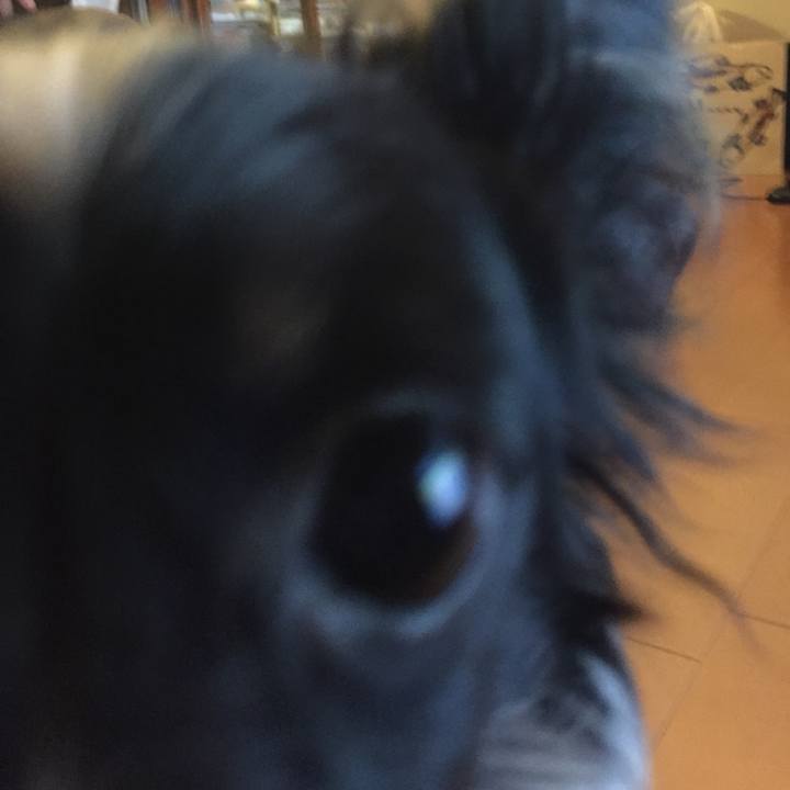 00c747ee e8ec 4490 bfaf c3458f182f51