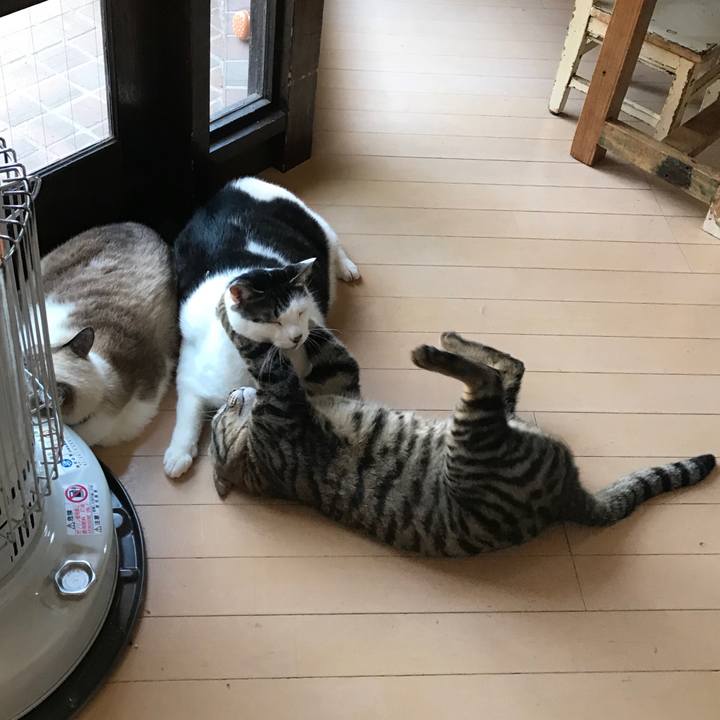 00c75a72 2f3c 4561 b394 bcec349dc053