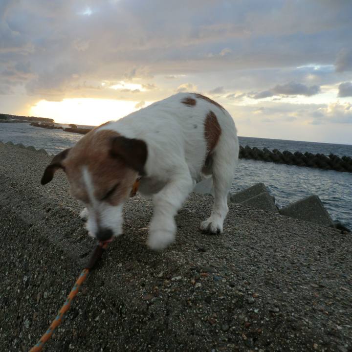 00c83d85 46b5 4d27 bf72 bfac3da8380c