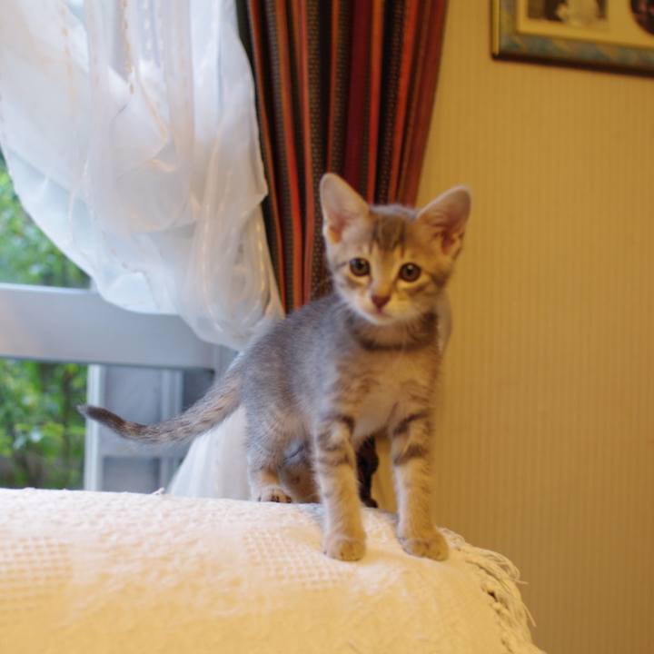 00c86246 a39d 4e81 8f0c 604c63963cf8