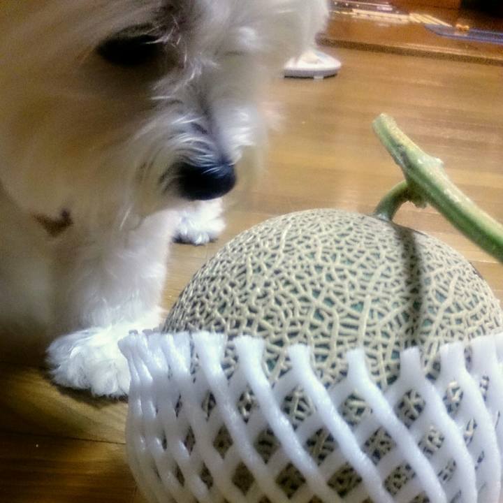 00c89f63 b3f4 4555 a2af b95985683d52