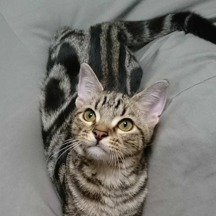 00c902e8 99ce 45b8 a1a3 0f0edf602162