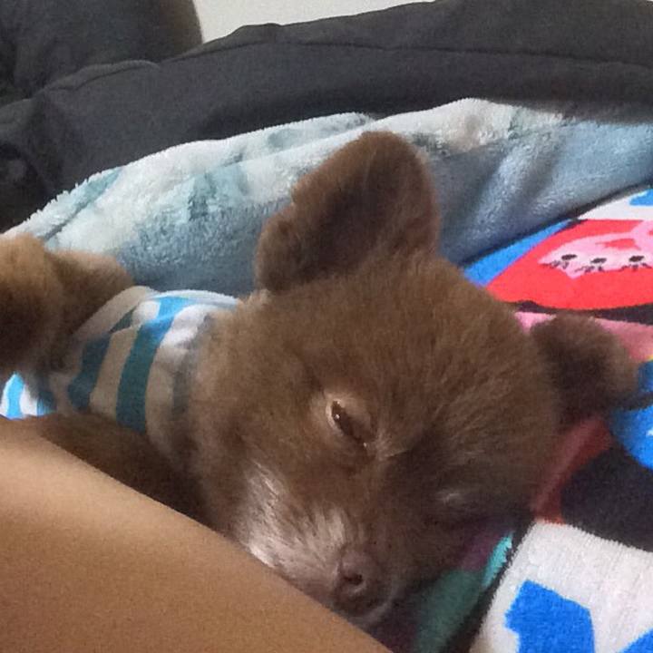 00ca7076 c173 48c0 a79a 8826f720dbc5