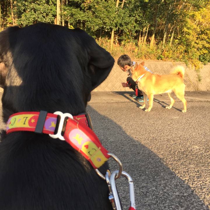 00caa668 a42a 4f83 af17 ac7dd662a195