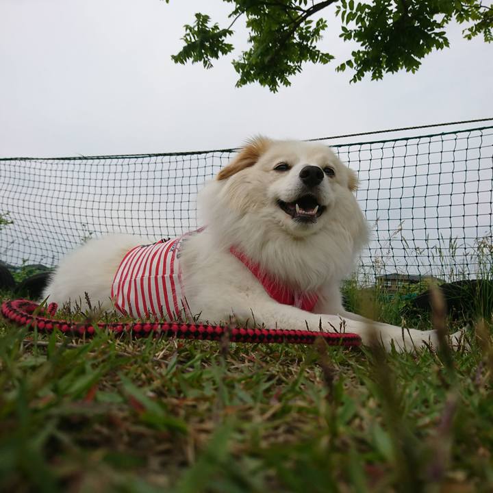 00cb7681 308b 4e20 b187 512103ca95ea