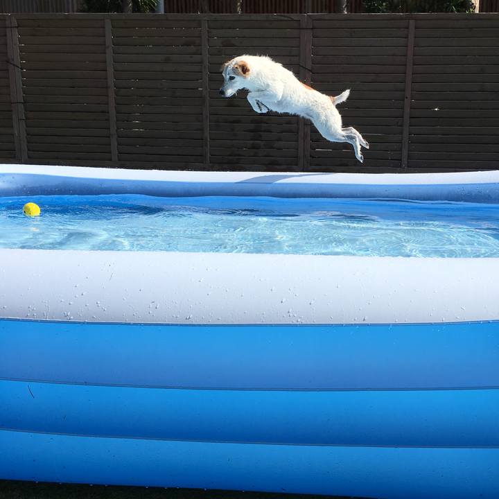 00cc0f8a 5fab 4773 a0d6 aa573a81adac