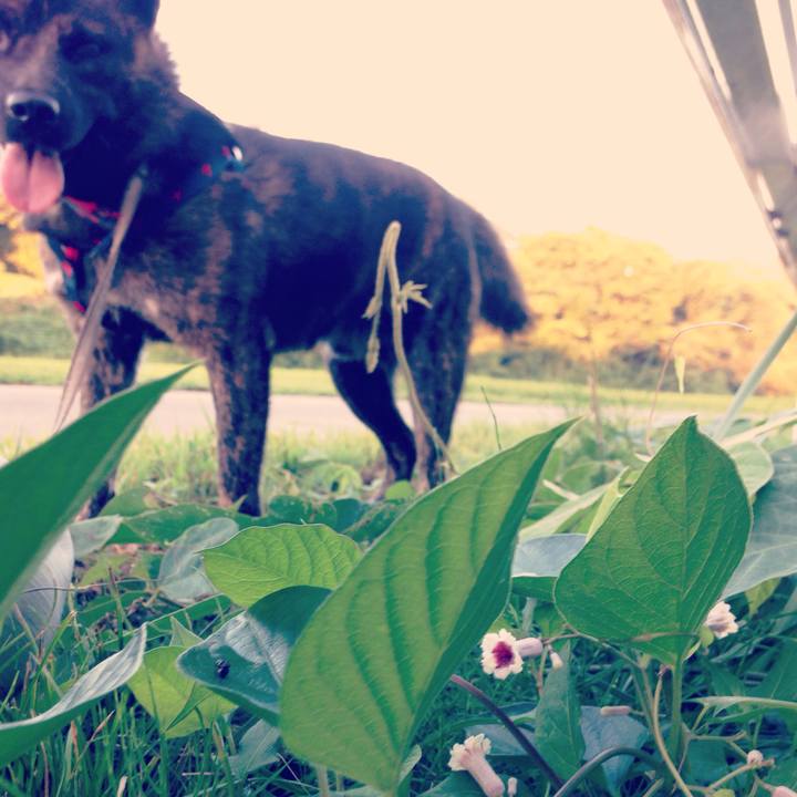 00cc6dba b0f5 453a 95bf 1de31f3864ea