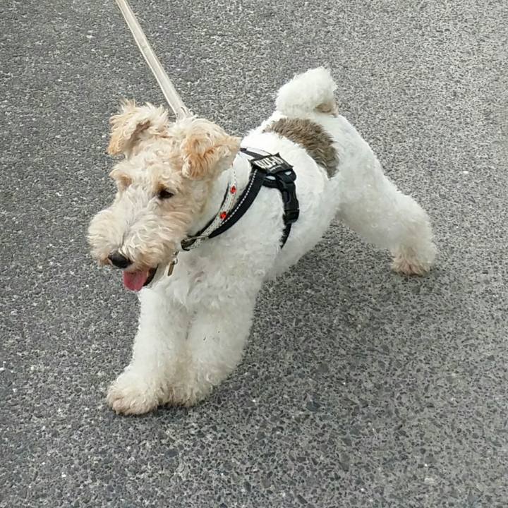 00cc890b 3413 47e9 9b63 442ce4fc5f9d