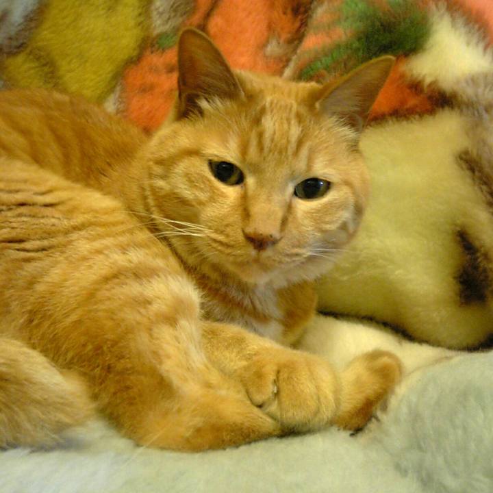 00ccbe94 affa 4164 87ae 7f4450d1e482