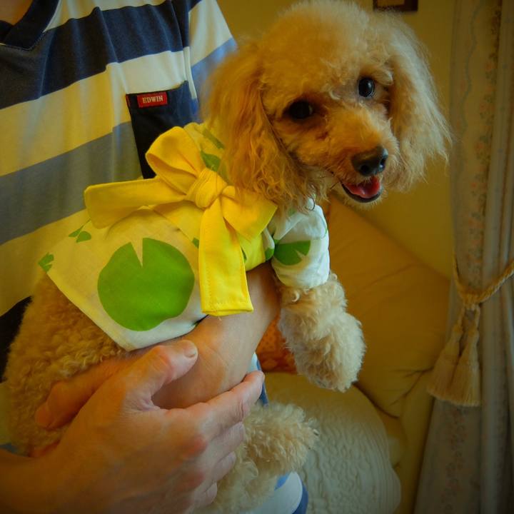 00cd1822 1343 46c2 907f d44be1be9639