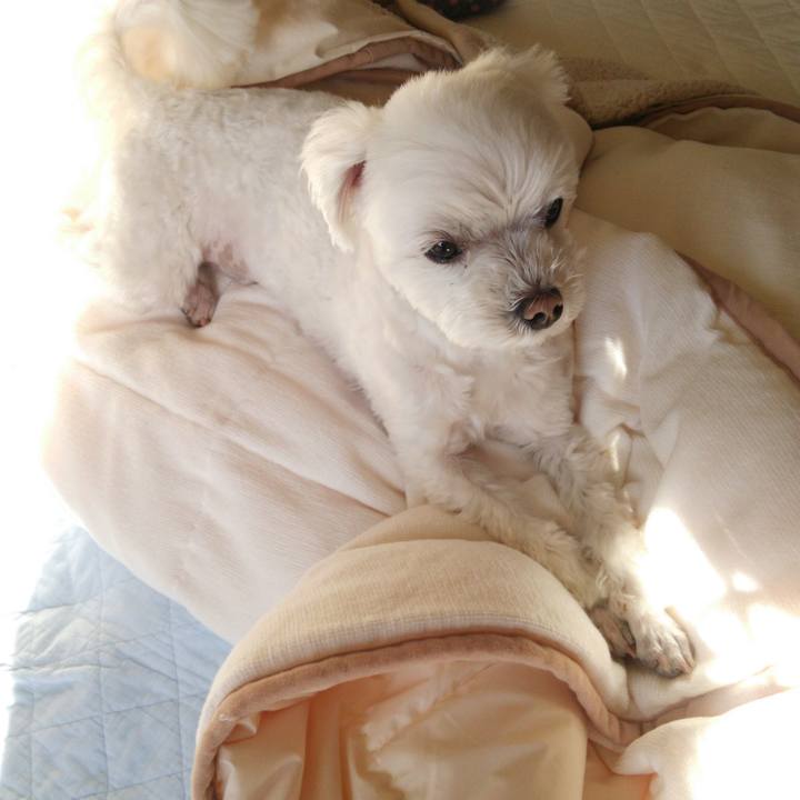 00cdbbf5 a5b0 4dc2 82dd ba85415e06f2