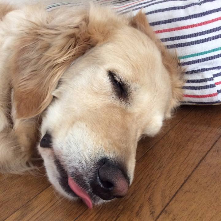 00ce7a68 2eef 4bb9 ba72 f372d665eab9