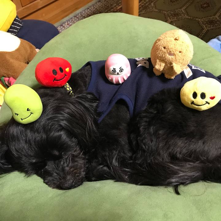 00ce9b52 cad1 4ea0 9ab9 6174211a25b4