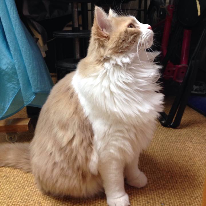 00ce9c3e ffa8 45a5 98e2 13d01ddb4957