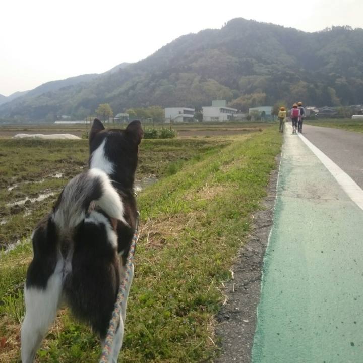 00cecebd 64e3 4bd1 b72b 875433b662a9