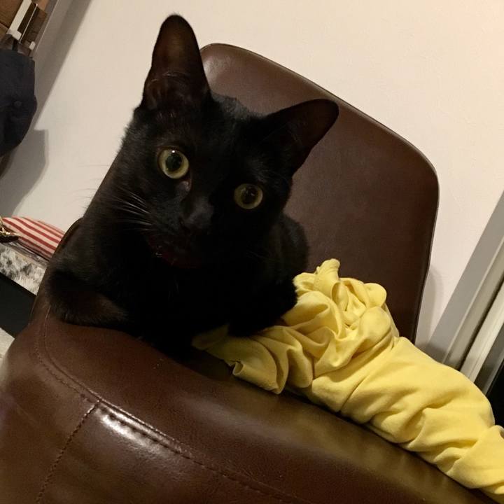 00cecf0d 1b33 4488 b6d9 1cb85a360da2