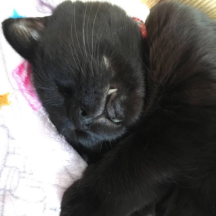 00cee64b 8ace 419e 9218 5aee146de820