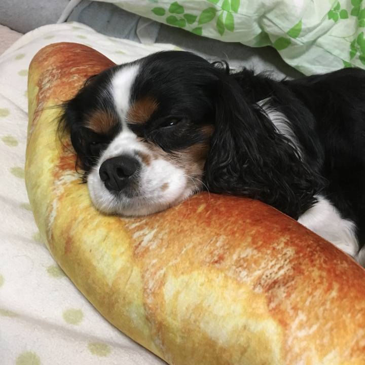 00cf1d3f 15c9 4197 a72f 2fe768d64131