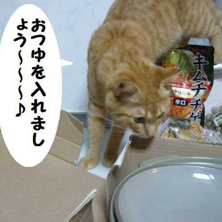 00cf2e4e a357 455d b680 f5e13395c9fb