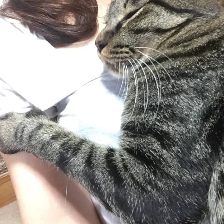 00cf8990 fecd 4d46 9292 ea1c9e751e83