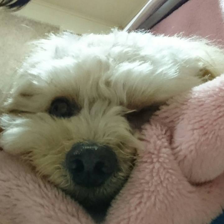 00cfa987 f29c 40b1 bd43 1b06190151ff