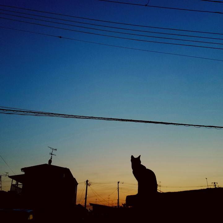 00d07c69 a25f 44e3 9672 64bd9998b1f6