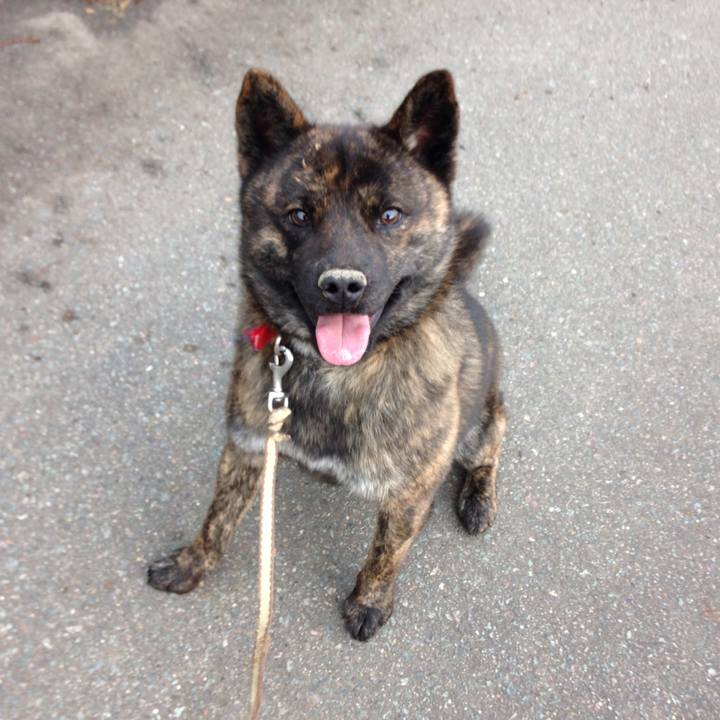 00d0c9dd c6e8 44ae b6e5 b0cc412b94ab