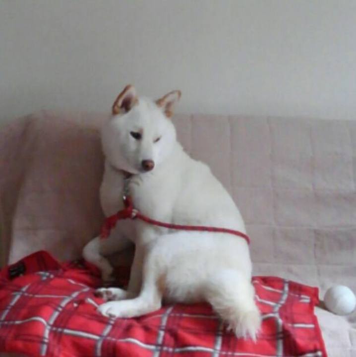 00d132e9 99a0 49b6 9815 38a7db73549e