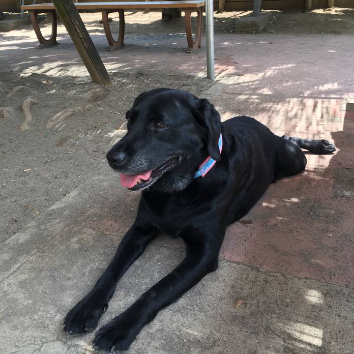 00d1ad5e e568 4cd6 9dc7 54834c9995bf