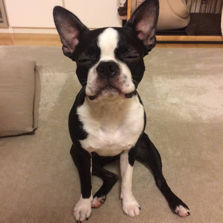 00d24f79 8df0 4853 8902 5f461a632794