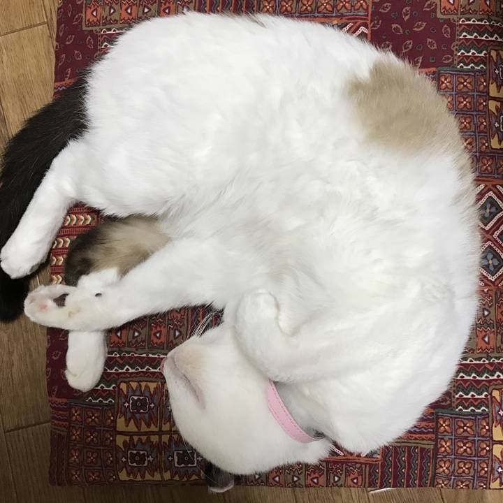 00d2e372 cb89 4989 b644 6355dce8be3e