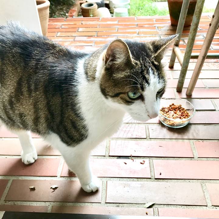 00d30c9b 8530 4f25 944a ee9dbbabc795