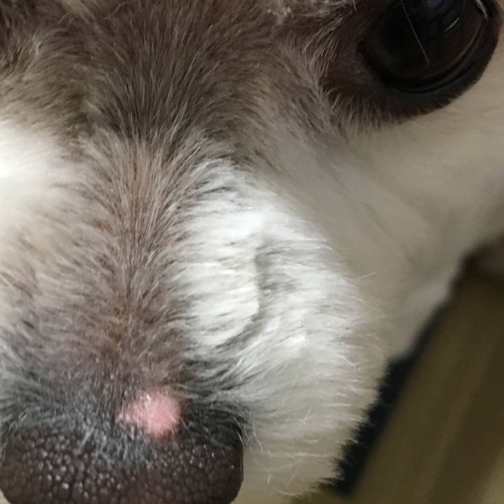 00d35277 b0f2 412b a3c9 e68427fca429