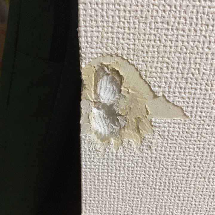 00d38b01 2ad5 4c06 a964 aa2d30221b4b