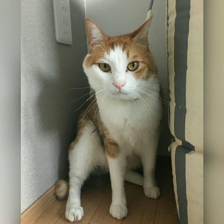 00d3b158 3692 4d1d 9bb0 492fd943c530